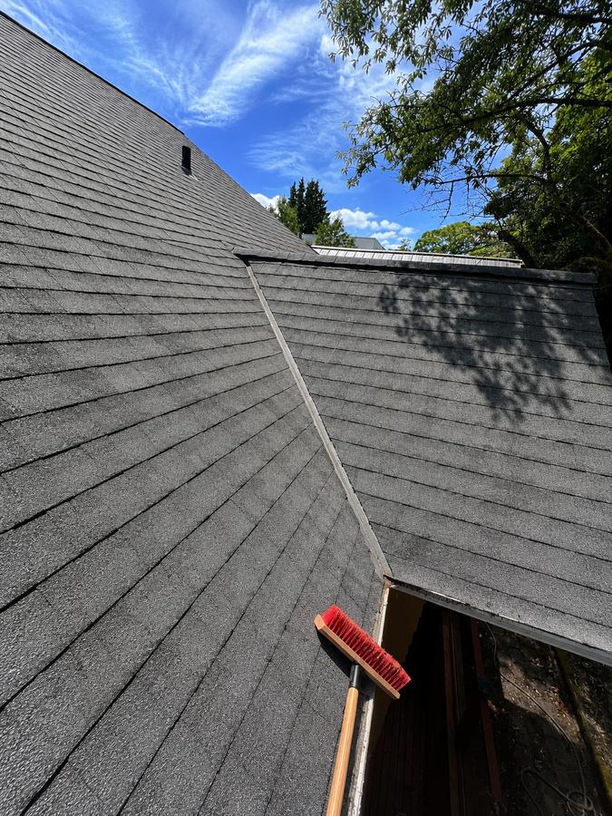 Clean shingle roof after moss treatment